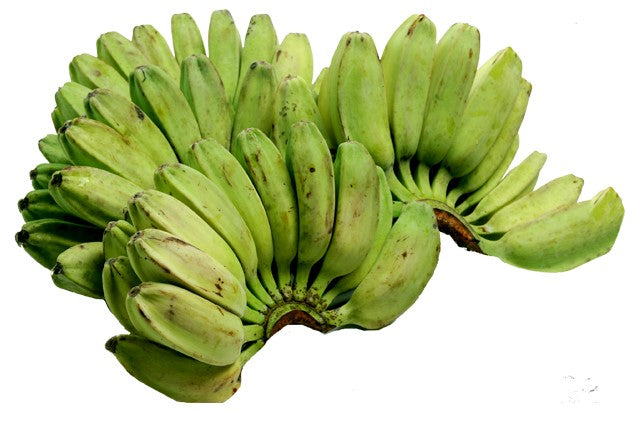 Plantain, Green Saba Banana, 1.5kg (One bunch)